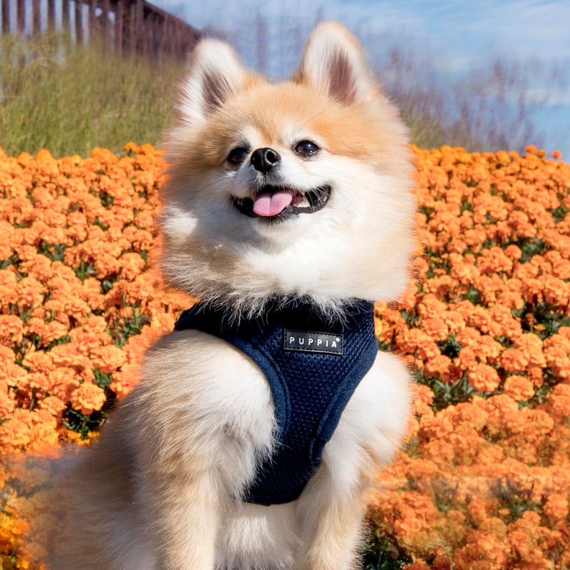 PUPPIA International PUAH305NYLG Soft Harness B Vest, Large, Navy - Image 4